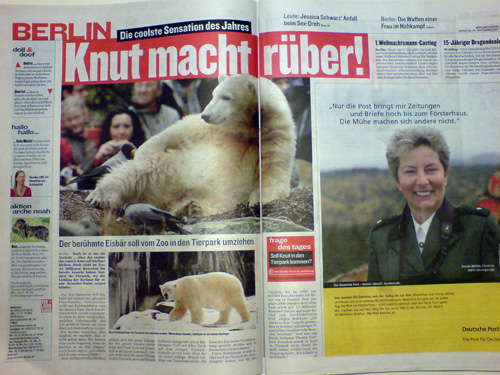 Ossi Knut