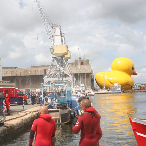 duck1.jpg